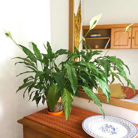 Casa De Amig@S En Santa Cruz De La Palma Apartment ซานตาครูซเดลาปัลมา ภายนอก รูปภาพ