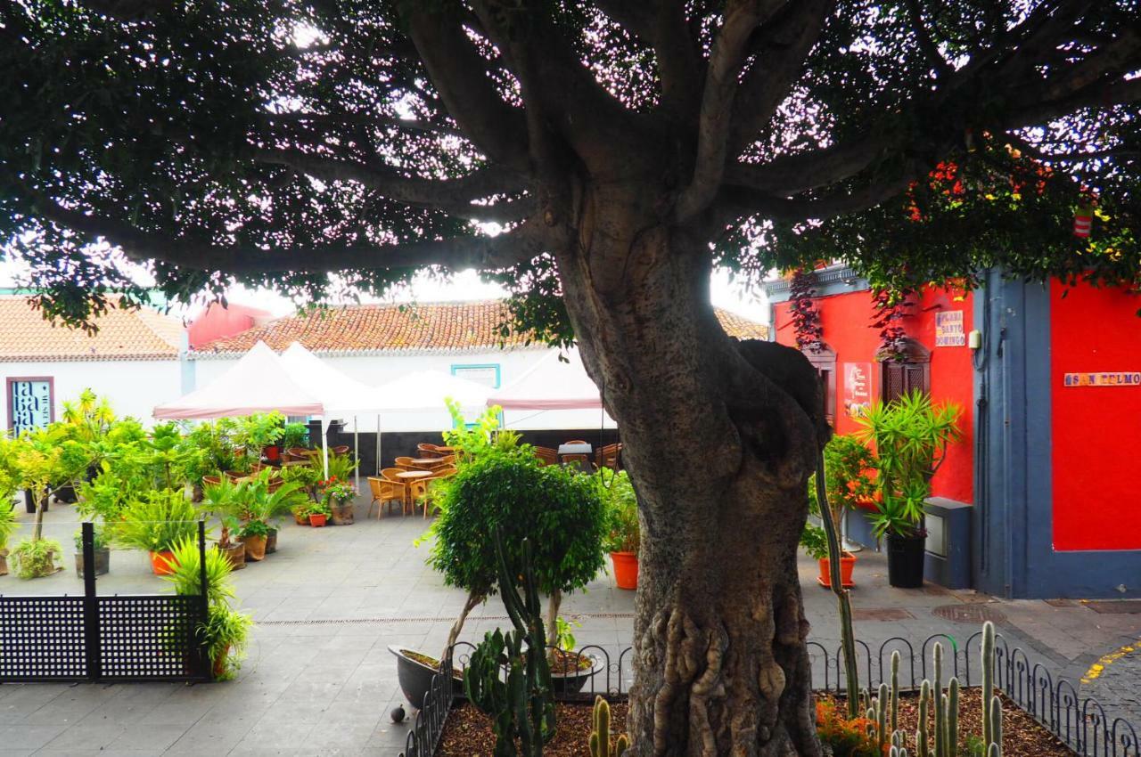 Casa De Amig@S En Santa Cruz De La Palma Apartment ซานตาครูซเดลาปัลมา ภายนอก รูปภาพ
